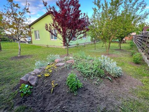 дом по адресу Софіївська, 1