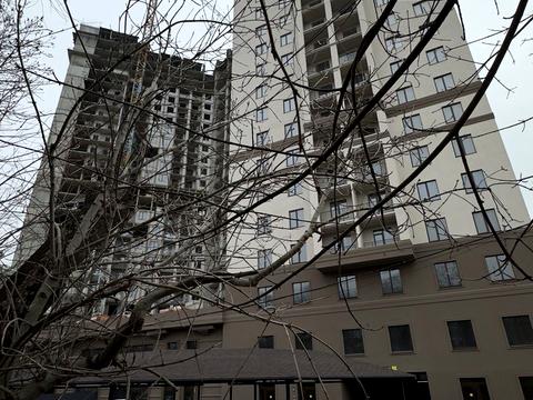 квартира по адресу Дача Ковалевского ул., 5