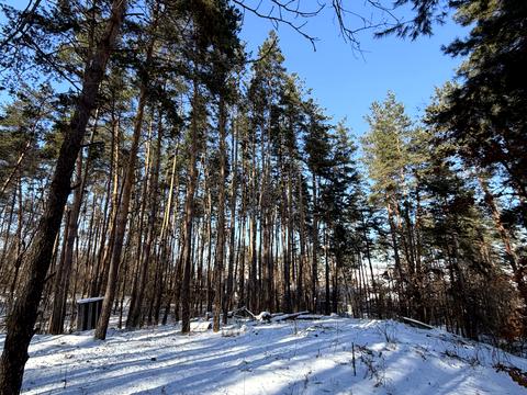 участок по адресу км нова ходосівка