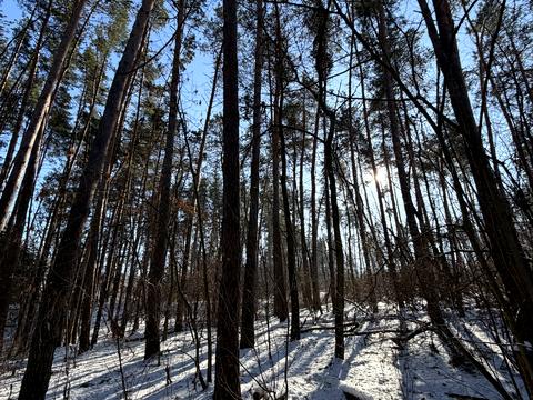 ділянка за адресою км нова ходосівка