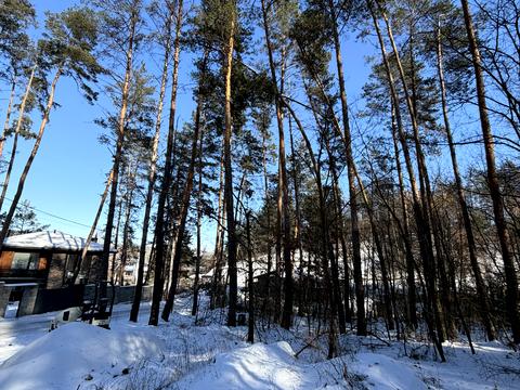 ділянка за адресою км нова ходосівка