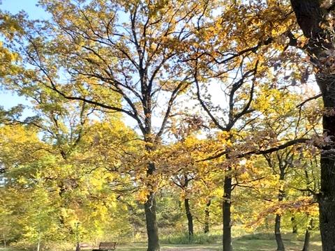 дом по адресу Дослідна станція