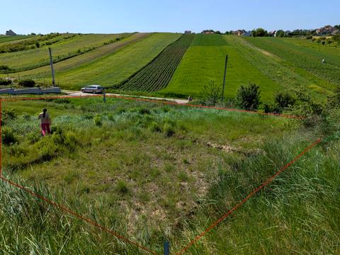 участок по адресу Тернова