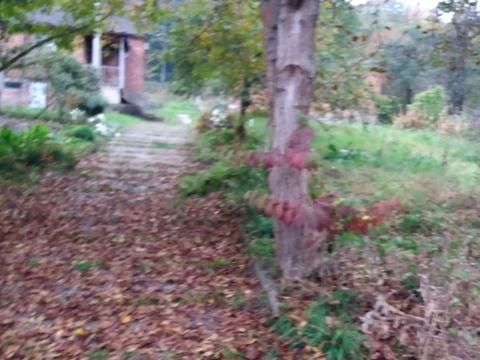 дом по адресу Забава ул.