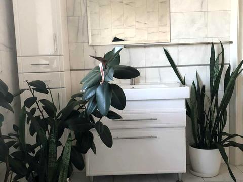 дом по адресу Озерна