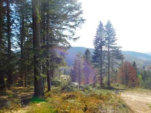 будинок за адресою Бориславська вул., 37