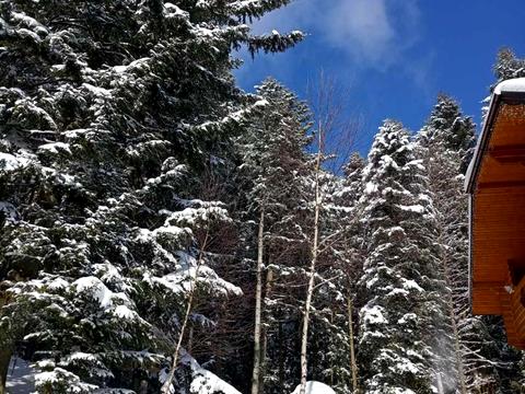 будинок за адресою Бориславська вул., 37