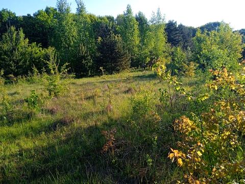 участок по адресу 