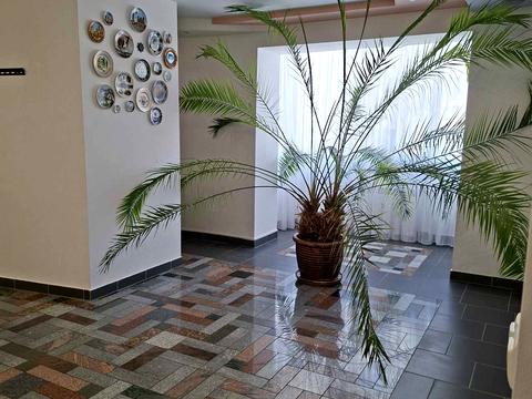 квартира по адресу Коллонтая ул., 2