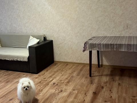 квартира по адресу Институтская ул., 17