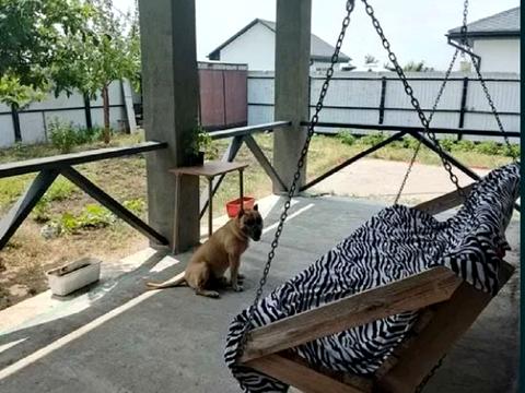 будинок за адресою Петропавловская