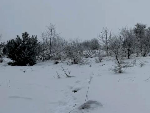 ділянка за адресою с. Ямельня, 