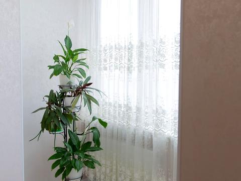 квартира за адресою Лосівський пров., 4