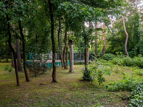 будинок за адресою Вишгород, Шевченка вул.