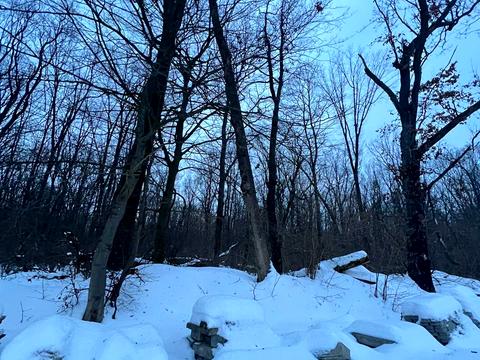 участок по адресу 