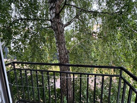 квартира за адресою Іспаська вул., 15