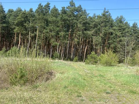 дом по адресу Лісова