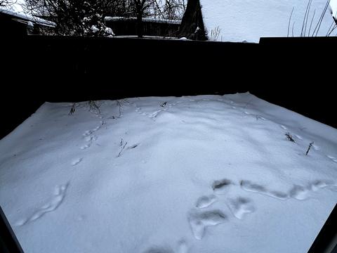 дом по адресу Ирпень, Вериковского ул., 2