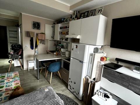 квартира за адресою Велика Панасівська вул. (Котлова), 106