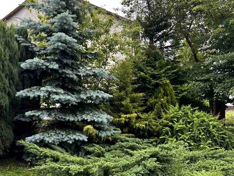 дом по адресу Вірменська, 1