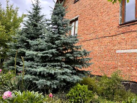 дом по адресу Вірменська, 1