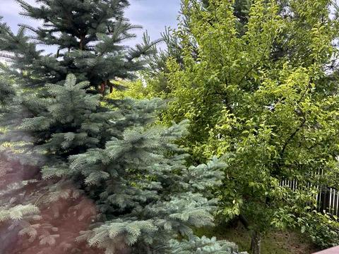 дом по адресу Вірменська, 1