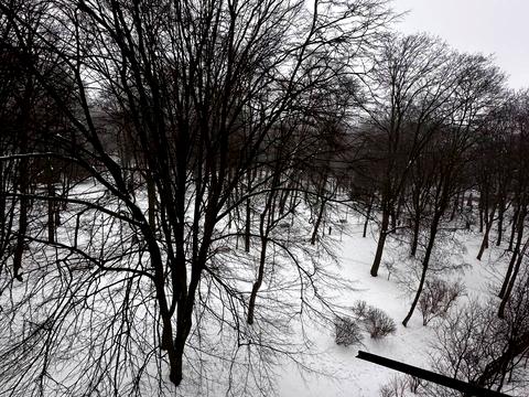 квартира по адресу Черновола ул., 104