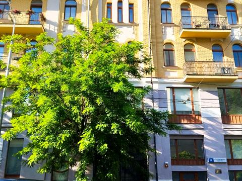 комерційна за адресою Софіївська вул., 12