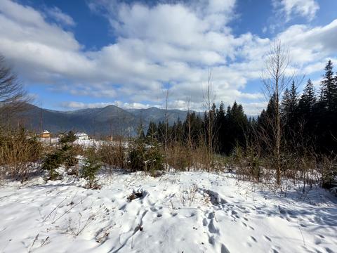 ділянка за адресою Івана Франка вул., 45