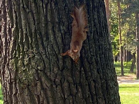 квартира за адресою Миколи Хвильового вул., 3-А