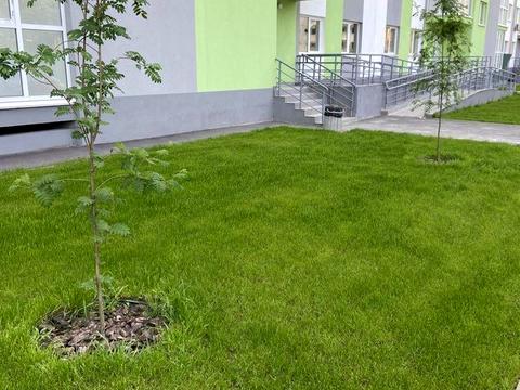 квартира за адресою Миколи Хвильового вул., 3-А