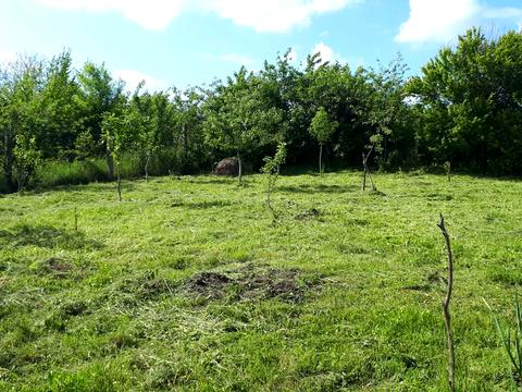 ділянка за адресою 