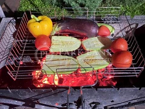 дом по адресу Русановские Сады ул.