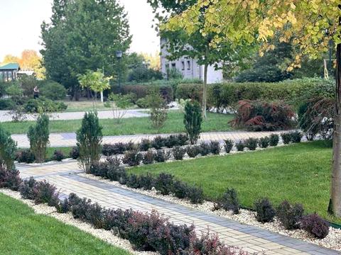 коммерческая по адресу Григорія Сковороди ул., 8