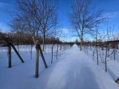 дом по адресу Шевченко ул. (Леніна), 28
