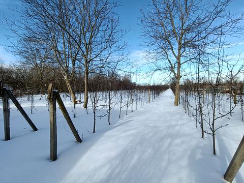 дом по адресу Шевченко ул. (Леніна), 28