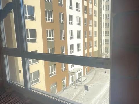 квартира за адресою Анатолія Луценка вул., (Будинок 16/17)