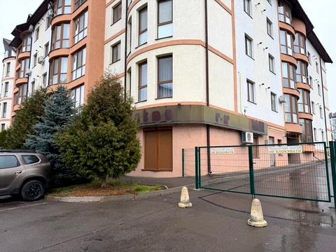 комерційна за адресою В'ячеслава Чорновола вул., 91г