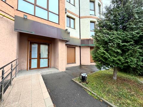 комерційна за адресою В'ячеслава Чорновола вул., 91г