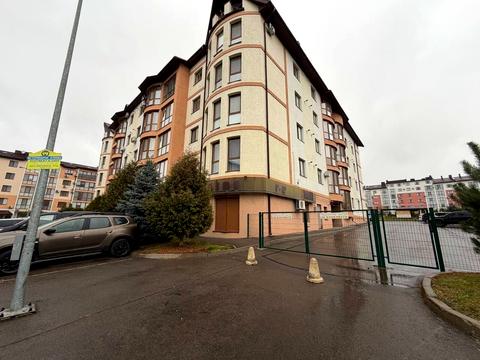 комерційна за адресою В'ячеслава Чорновола вул., 91г