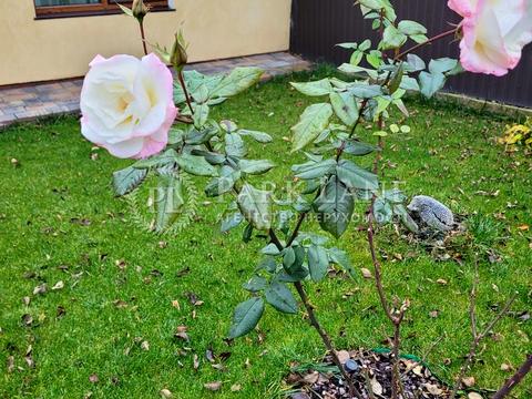 будинок за адресою Панорамна вул.