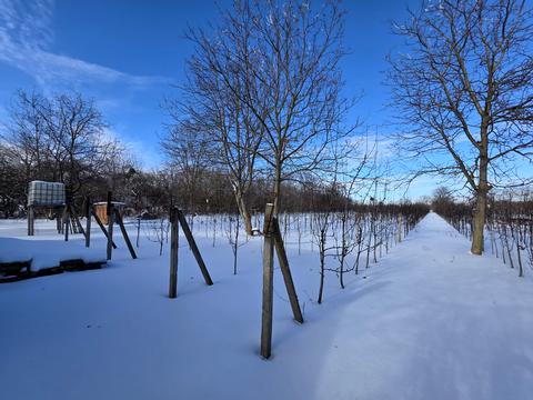 дом по адресу Шевченко ул. (Леніна), 28
