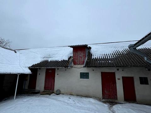 дом по адресу михайлп старицького, 48 а