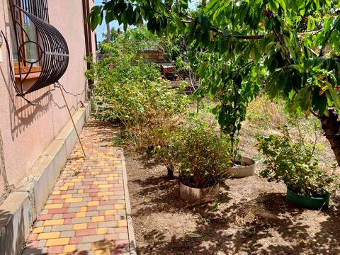 дом по адресу 1-а лінія