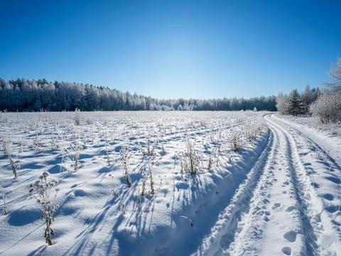участок по адресу 