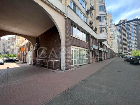 комерційна за адресою Левка Лук'яненка вул. (Маршала Тимошенка), 29