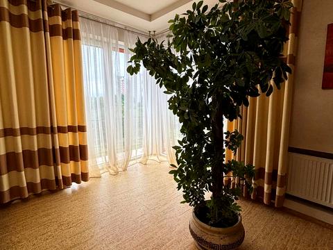 квартира по адресу Николая Биха ул., 20а