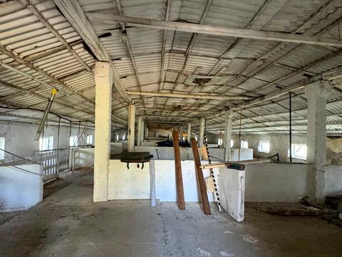 коммерческая по адресу Головна, 1