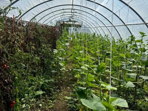 коммерческая по адресу Головна, 1