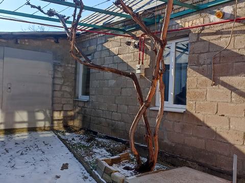 будинок за адресою Перекопська